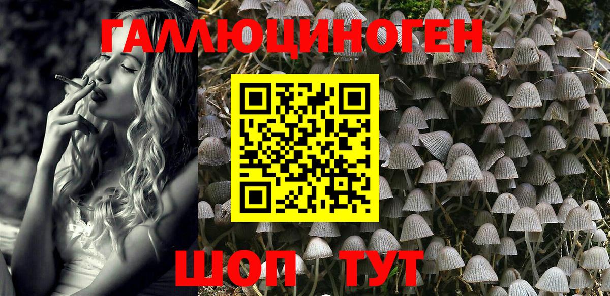 Галлюциногенные грибы GOLDEN TEACHER Биробиджан
